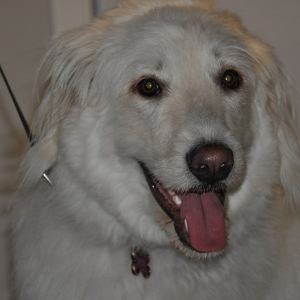 Fundraising Page: Vicky Taeza